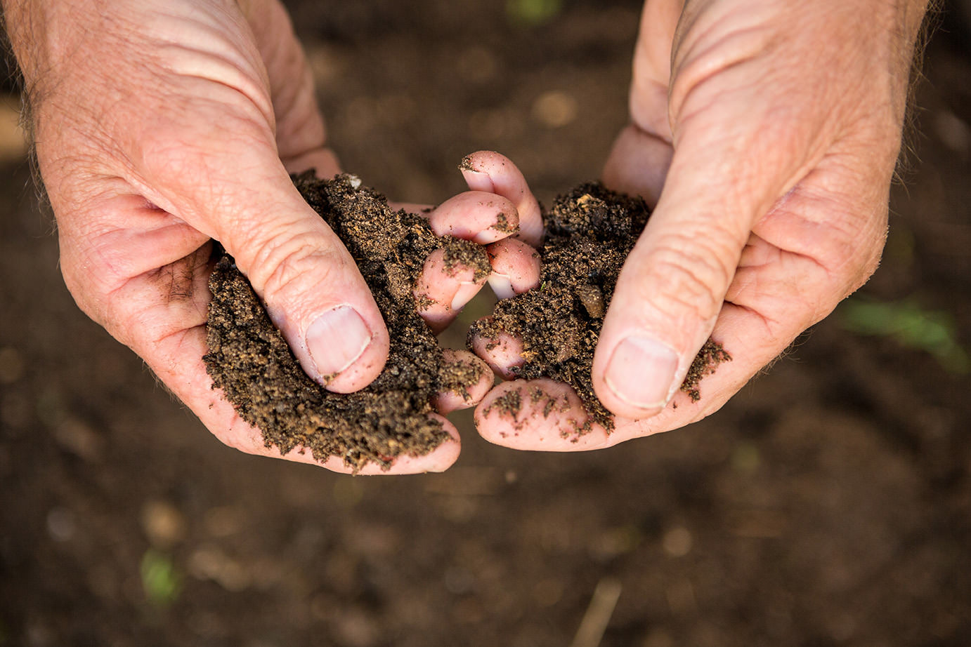 Les métiers de l’agriculture et développement durable